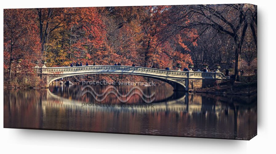 Central Park - Bow Bridge de Caro Li, Prodi Art, New York, NY, USA, états-unis, Photographie, la photographie, Cher Li, Central Park - Bow Bridge