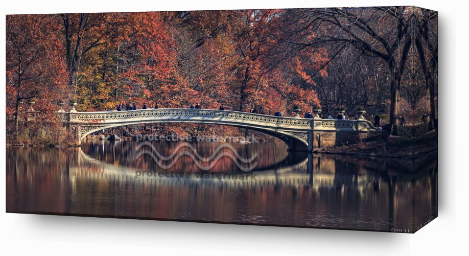 Central Park - Bow Bridge from Caro Li, Prodi Art, New-York, NY, USA, United States, Photography, photography, Dear Li, Central Park - Bow Bridge