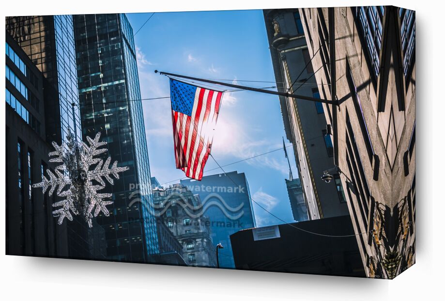 The Flag from Caro Li, Prodi Art, new york, NY, USA, United States, Dear Li, flag, flag