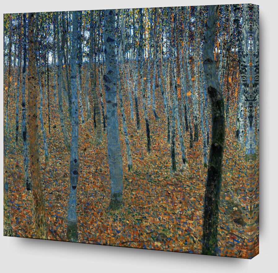 Forêt de bouleaux - Gustav Klimt de Beaux-arts Zoom Alu Dibond Image