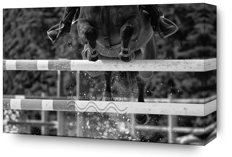 The crossing from Mayanoff Photography, Prodi Art, equestrian, horse, competition, obstacles, equestrian, horse, jumping, competition, show jumping, cavalier, jump, rider