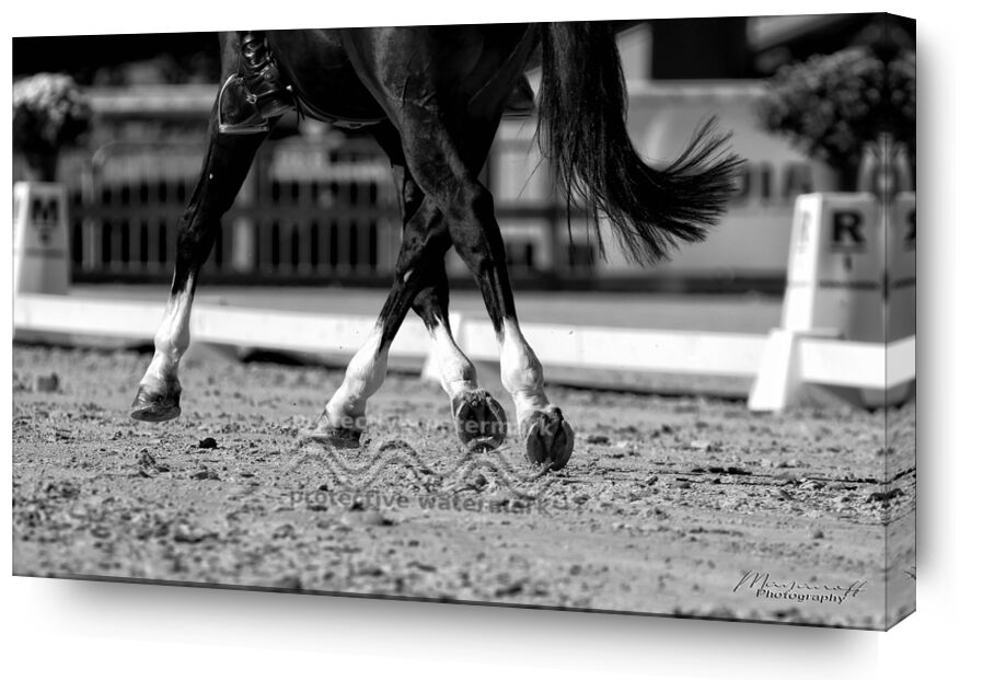 Déplacements latéraux de Mayanoff Photography, Prodi Art, dressage, déplacements, cavalier, concours, cheval, mouvement, animal, cavalier, concours, cheval