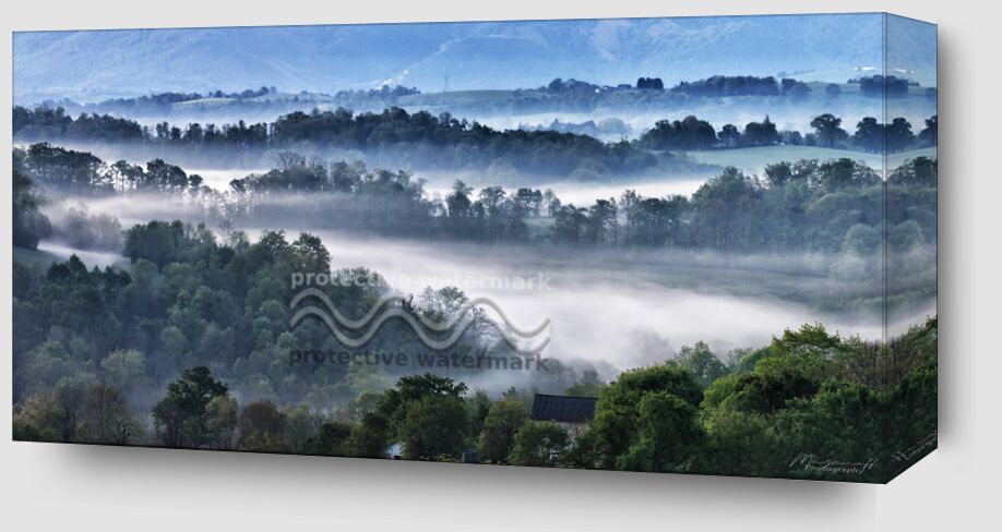 Foggy morning from Mayanoff Photography Zoom Alu Dibond Image