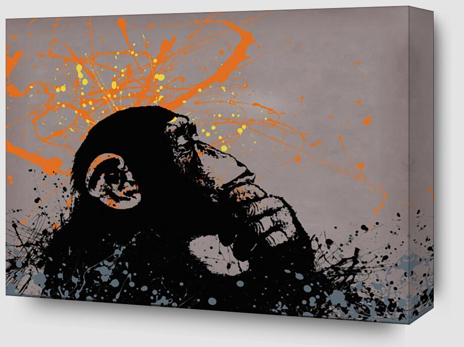 Thinker monkey - BANKSY from Fine Art Zoom Alu Dibond Image