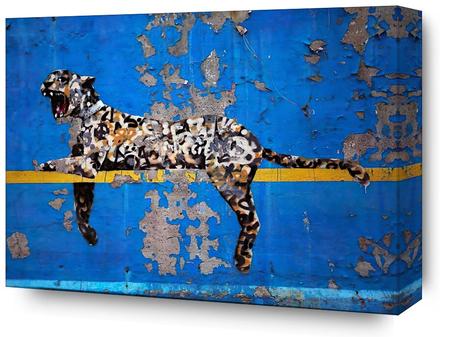 Bronx Zoo - BANKSY from Fine Art, Prodi Art, Bronx, blue, street art, leopard, new york, zoo, banksy