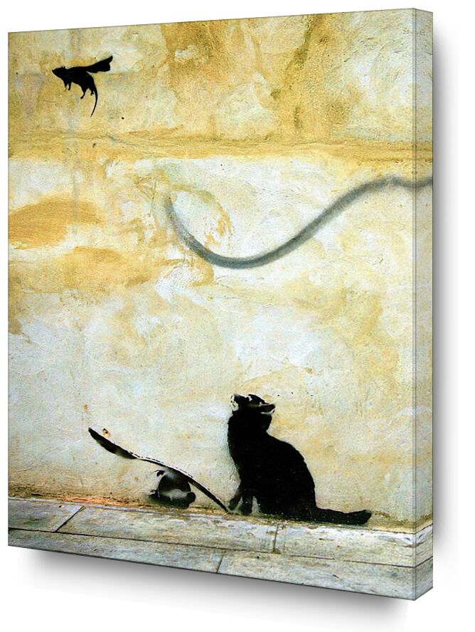 Cat - BANKSY from AUX BEAUX-ARTS, Prodi Art, graffiti, banksy, Cat, street art