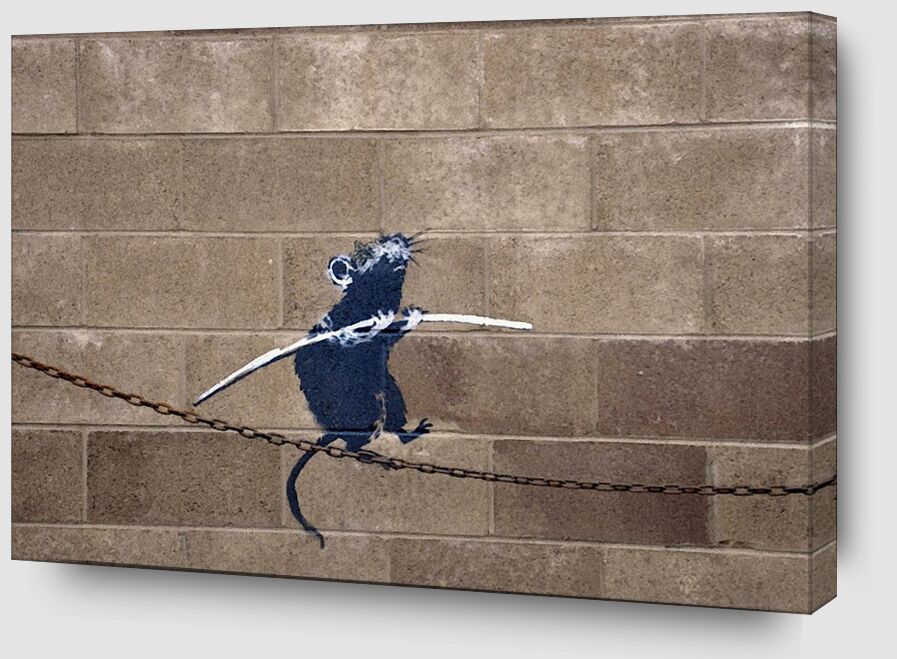 Tightrope - BANKSY from AUX BEAUX-ARTS Zoom Alu Dibond Image