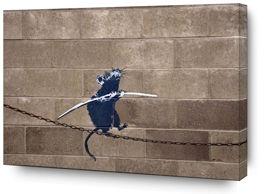 Tightrope - BANKSY from AUX BEAUX-ARTS, Prodi Art, rat, graffiti, street art, banksy