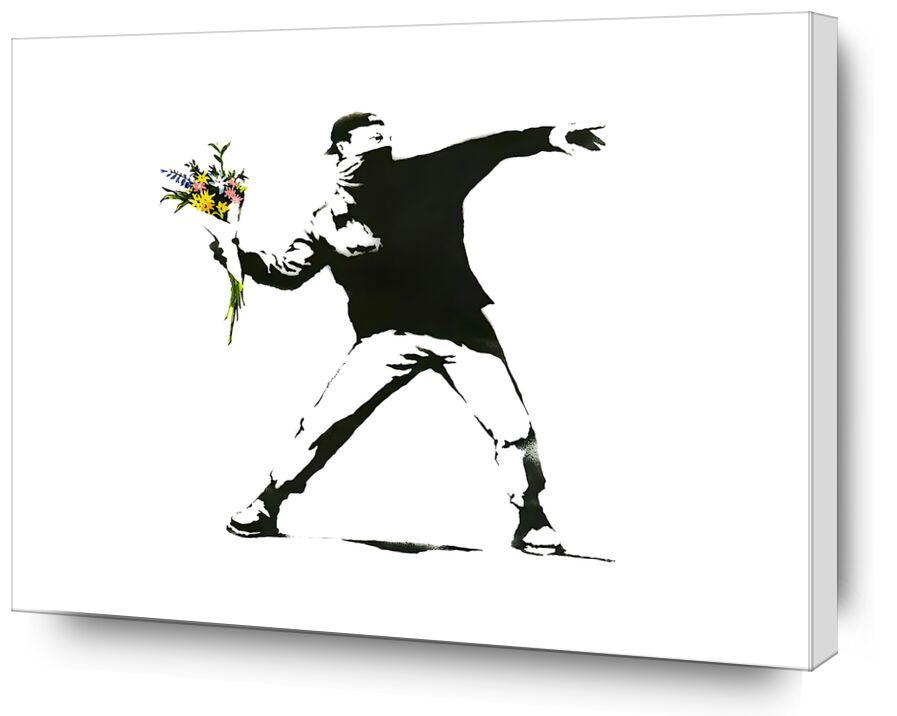 Flower Chucker desde Bellas artes, Prodi Art, lanzacohetes, pintada, flor, arte callejero, Banksy