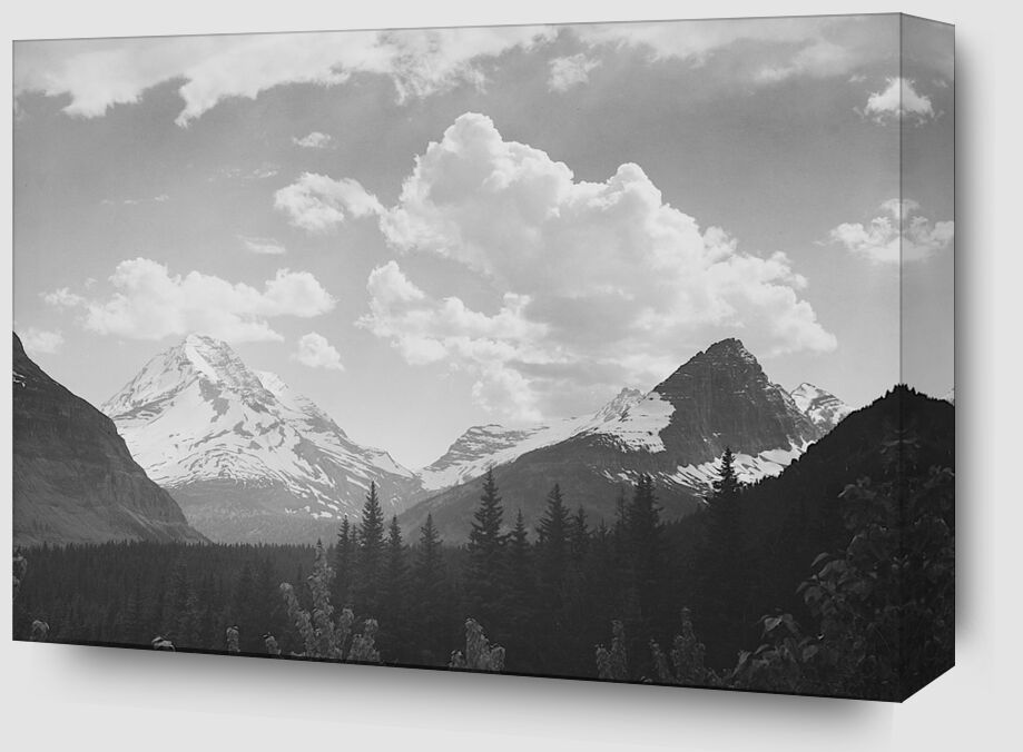 Looking Across Forest To Mountains And Clouds - Ansel Adams from Fine Art Zoom Alu Dibond Image