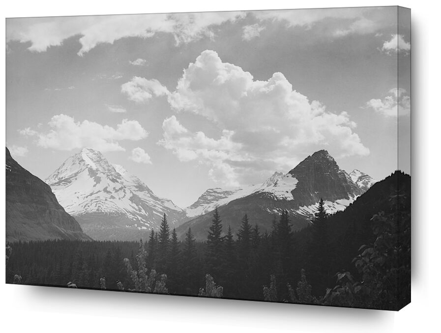 Looking Across Forest To Mountains And Clouds - Ansel Adams von Bildende Kunst, Prodi Art, Montage, Wolke, Landschaft, Schwarz und weiß, Schnee, Winter, Tanne