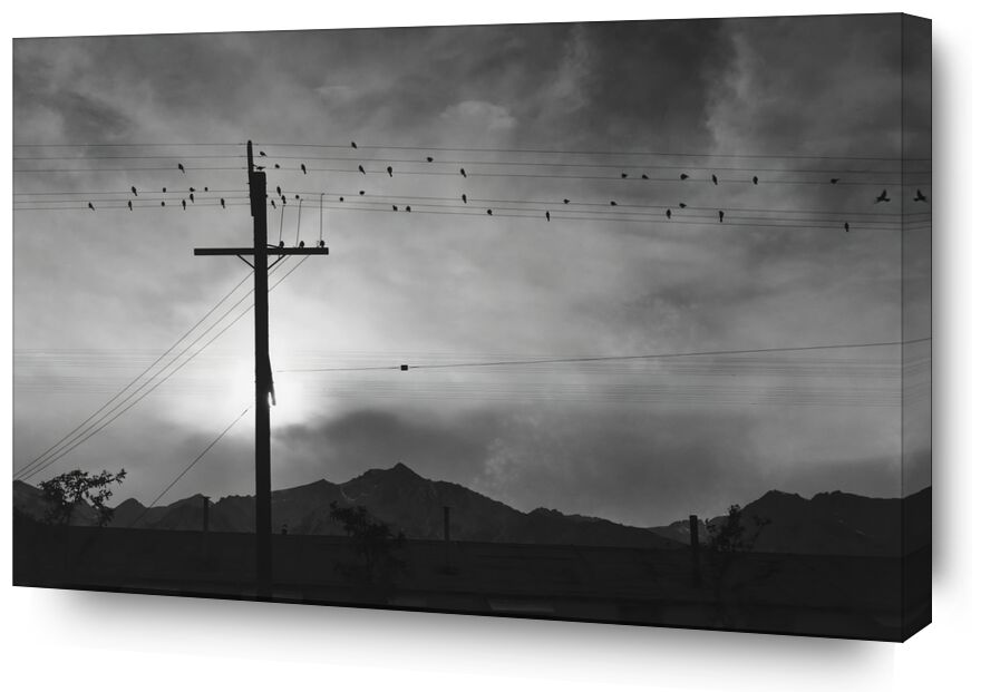 Birds on Wire, Evening - Ansel Adams from AUX BEAUX-ARTS, Prodi Art, black-and-white, Sun, sky, birds, mountains, ANSEL ADAMS