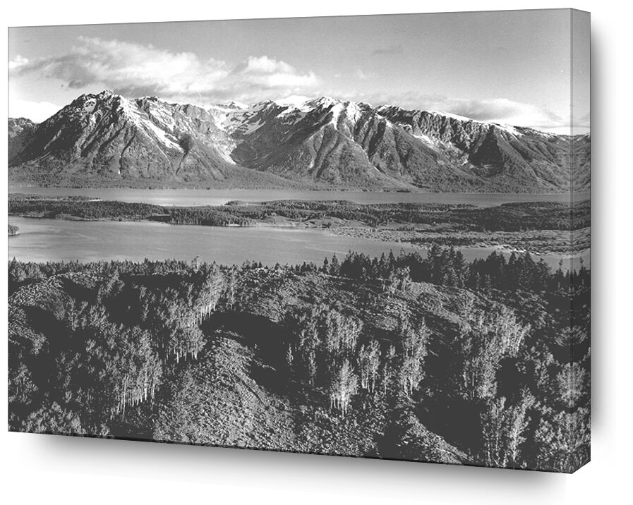 Grand Teton, Parc national du Wyoming - Ansel Adams de Beaux-arts, Prodi Art, ANSEL ADAMS, montagnes, arbres, noir et blanc, Wyoming