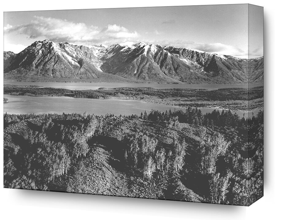 Grand Teton, National Park Wyoming - Ansel Adams from Fine Art, Prodi Art, ANSEL ADAMS, mountains, trees, black-and-white, Wyoming