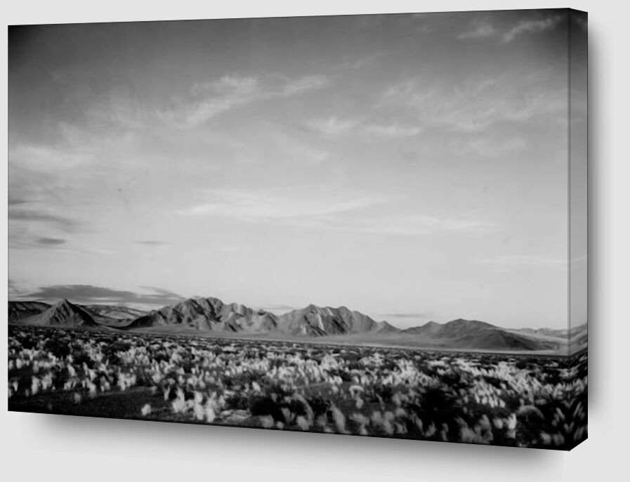 View Of Montains Desert Shrubs Highlighted - Ansel Adams von Bildende Kunst Zoom Alu Dibond Image