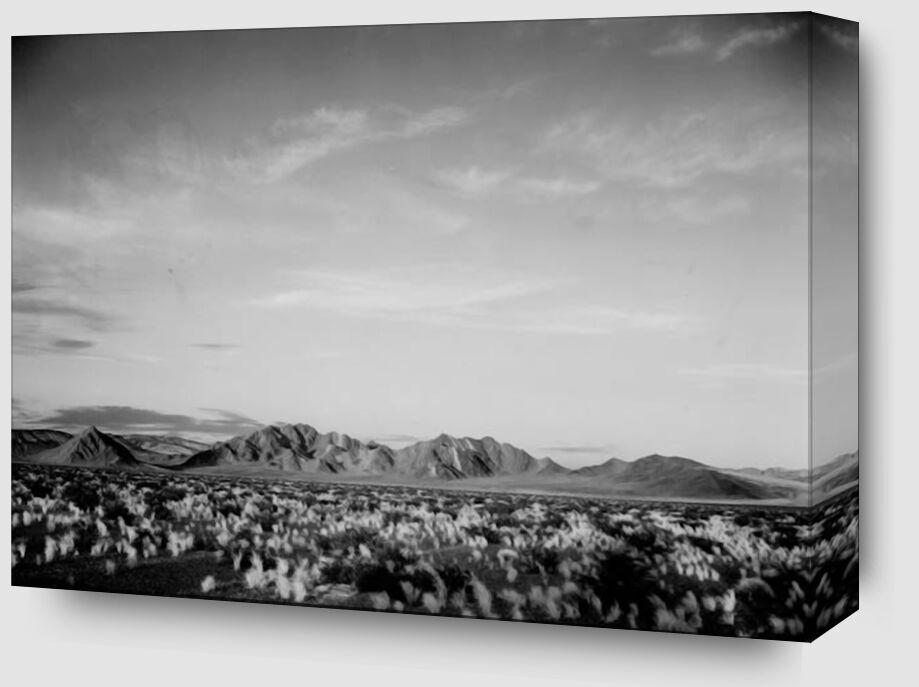 View Of Montains Desert Shrubs Highlighted from Fine Art Zoom Alu Dibond Image