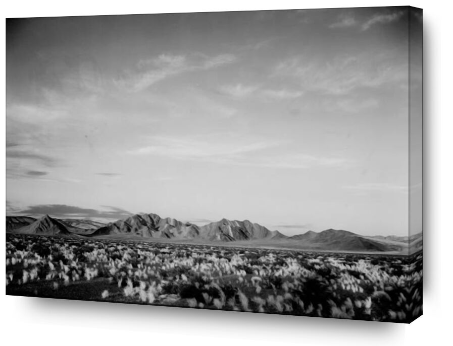 View Of Montains Desert Shrubs Highlighted - Ansel Adams von Bildende Kunst, Prodi Art, ANSEL ADAMS, Schwarz und weiß, Berge, Sträucher