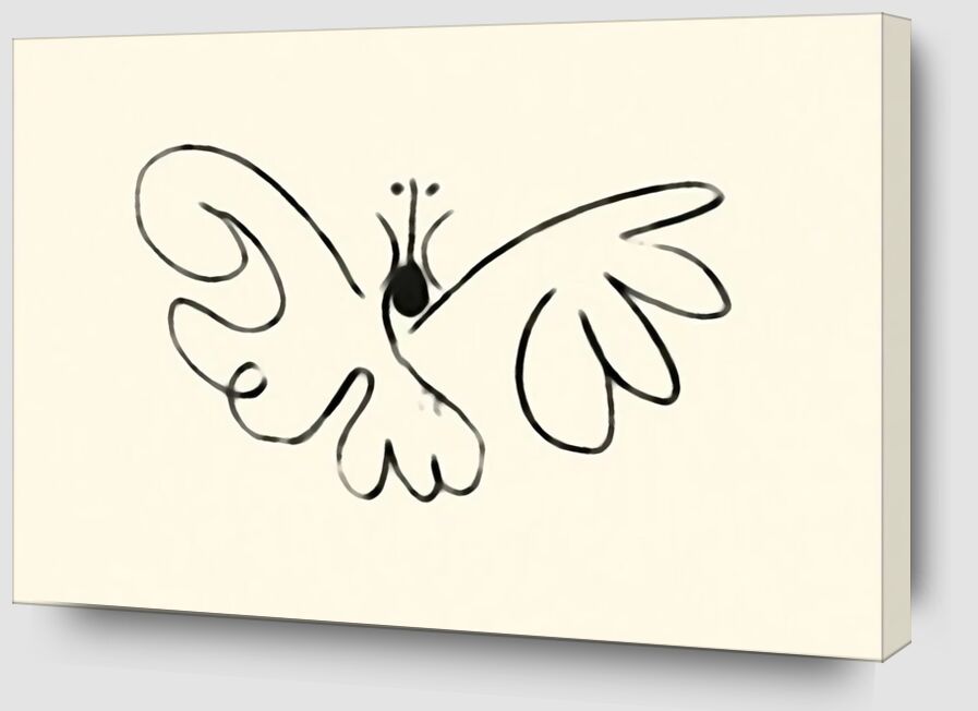 La papillon - Picasso de AUX BEAUX-ARTS Zoom Alu Dibond Image