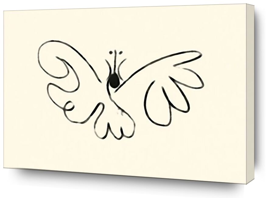 The Butterfly  von Bildende Kunst, Prodi Art, Schmetterling, Picasso, Zeichnung, Züge