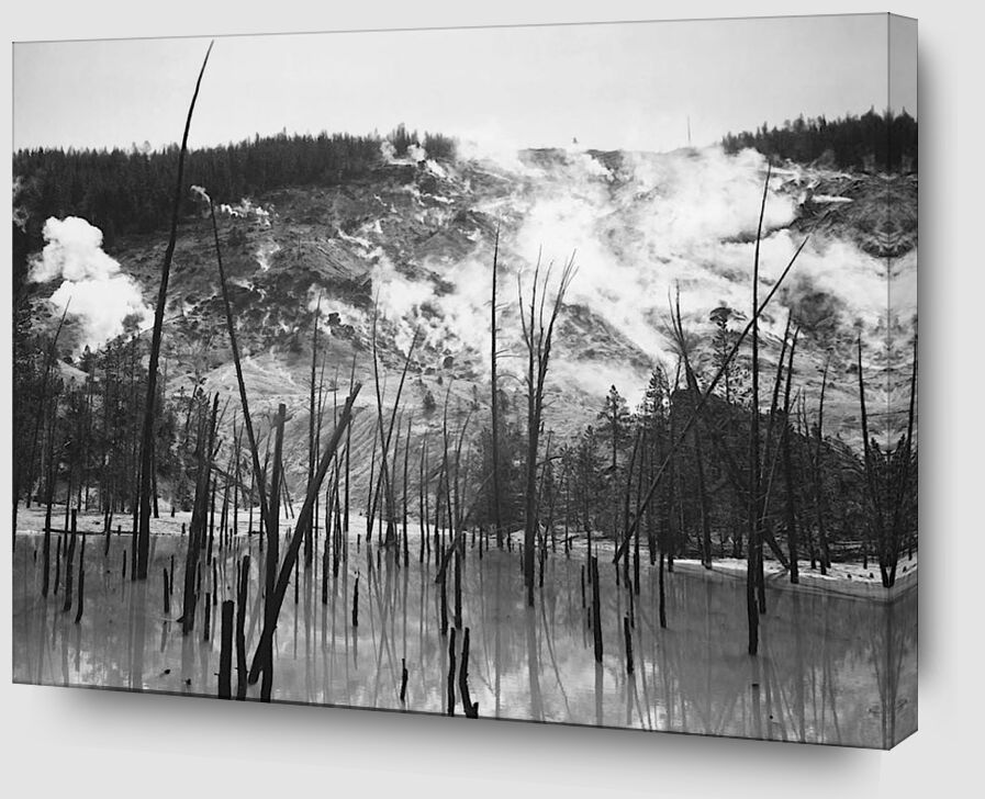 Rocky Mountain National Barren trunks in water near steam rising from mountains - Ansel Adams von Bildende Kunst Zoom Alu Dibond Image