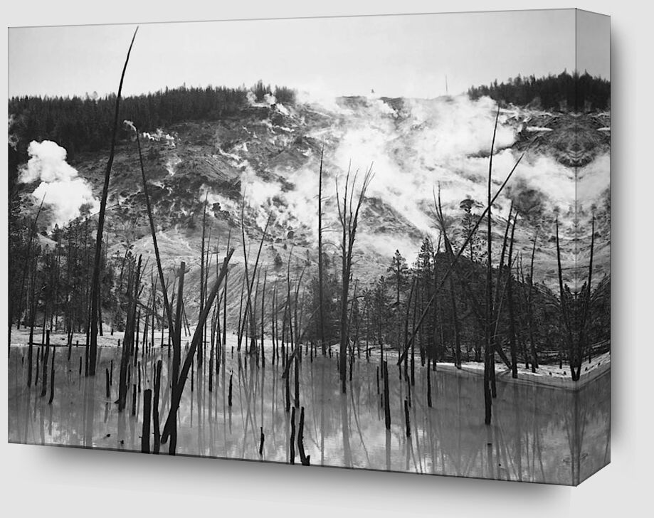 Rocky Mountain National Barren trunks in water near steam rising from mountains - Ansel Adams from Fine Art Zoom Alu Dibond Image