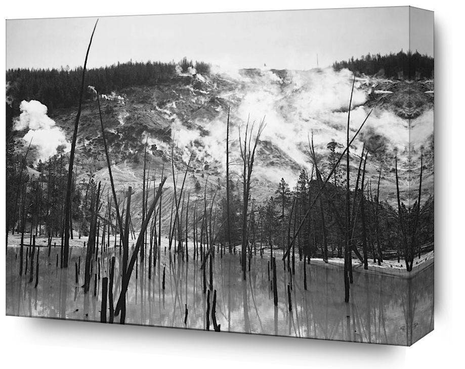 Rocky Mountain National Barren trunks in water near steam rising from mountains - Ansel Adams from Fine Art, Prodi Art, troncs, trees, steam, mountains, ANSEL ADAMS