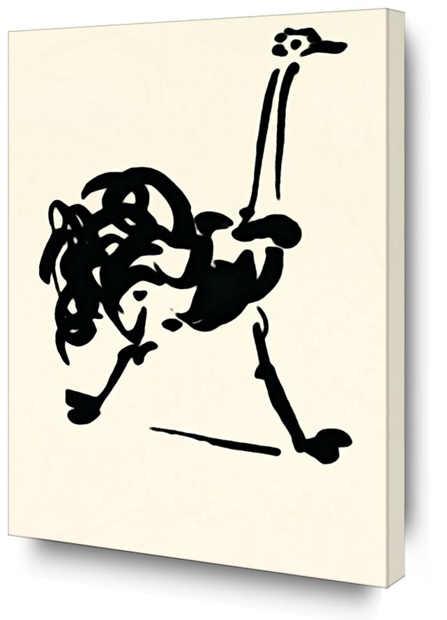 L'autruche - Picasso de Beaux-arts, Prodi Art, Autruche, dessin au trait, dessin, picasso