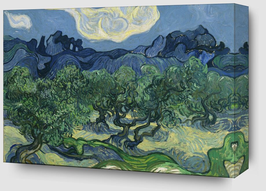 The Olive Trees - Van Gogh from Fine Art Zoom Alu Dibond Image