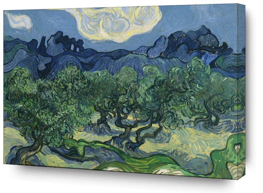 The Olive Trees - Van Gogh from AUX BEAUX-ARTS, Prodi Art, abstract, Van gogh, fields, nature, olive trees