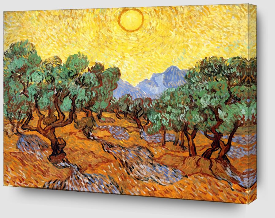 Sun over Olive Grove - Van Gogh von Bildende Kunst Zoom Alu Dibond Image