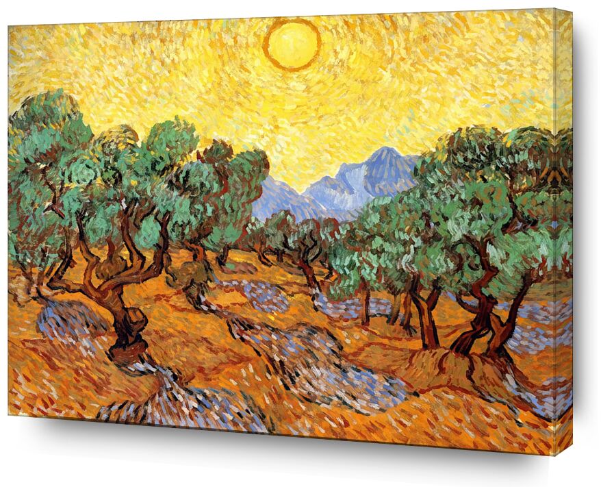 Sun over Olive Grove - Van Gogh von Bildende Kunst, Prodi Art, Olivenhain, Sonne, Landschaft, Malerei, Van gogh