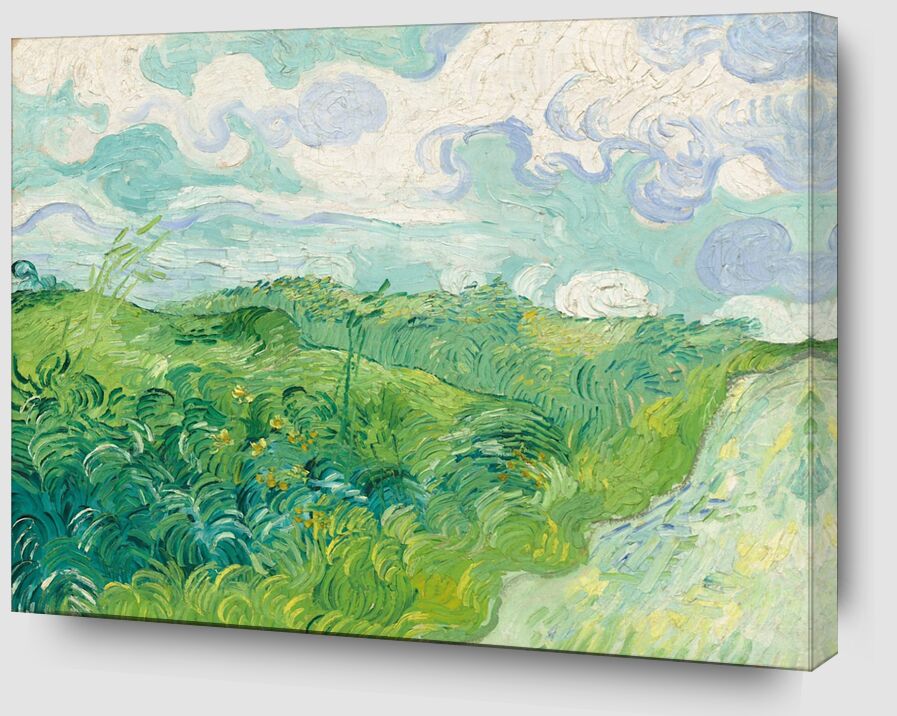 Green Wheat Fields, Auvers - Van Gogh von Bildende Kunst Zoom Alu Dibond Image