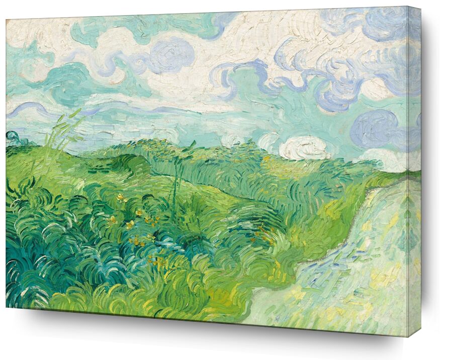 Champs de Blé Vert, Auvers - Van Gogh de Beaux-arts, Prodi Art, ciel, paysage, champs de blé, Van gogh, peinture, nuages