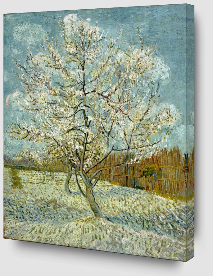 Le Pêcher Rose - Van Gogh de Beaux-arts Zoom Alu Dibond Image