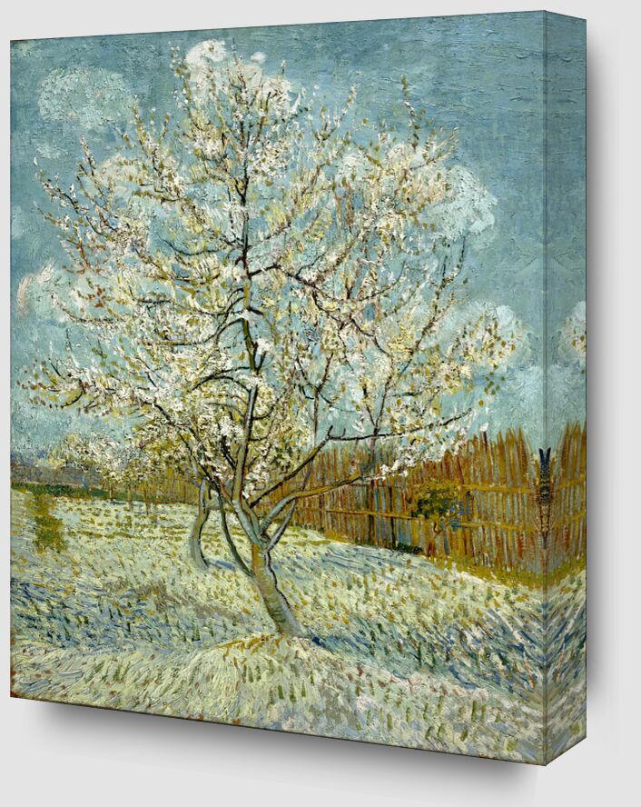 The Pink Peach Tree - Van Gogh from Fine Art Zoom Alu Dibond Image