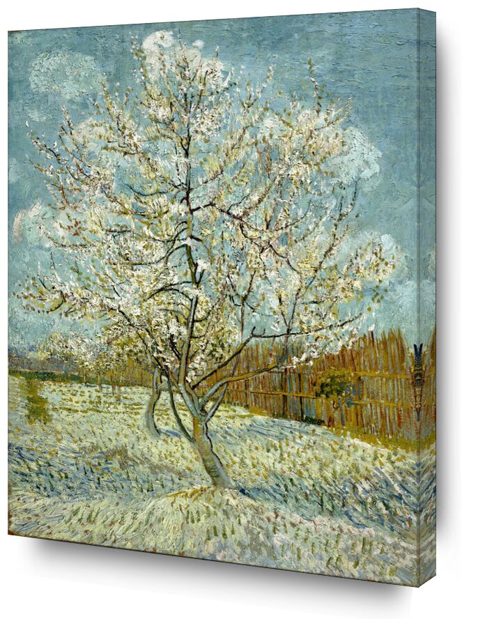 Le Pêcher Rose - Van Gogh de Beaux-arts, Prodi Art, nature, arbre, peinture, Van gogh