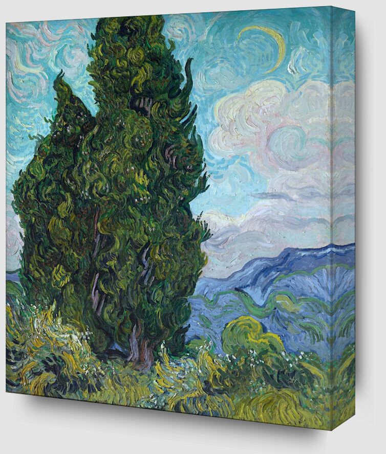 Cypresses from Fine Art Zoom Alu Dibond Image