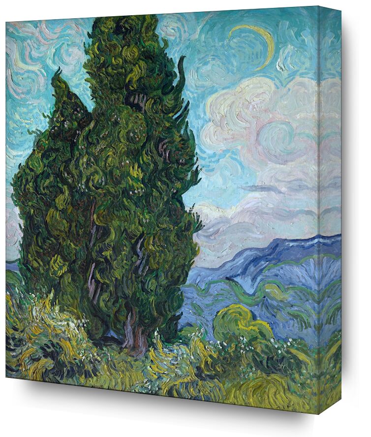 Cypresses from Fine Art, Prodi Art, Sun, sky, landscape, nature, cypress, Van gogh