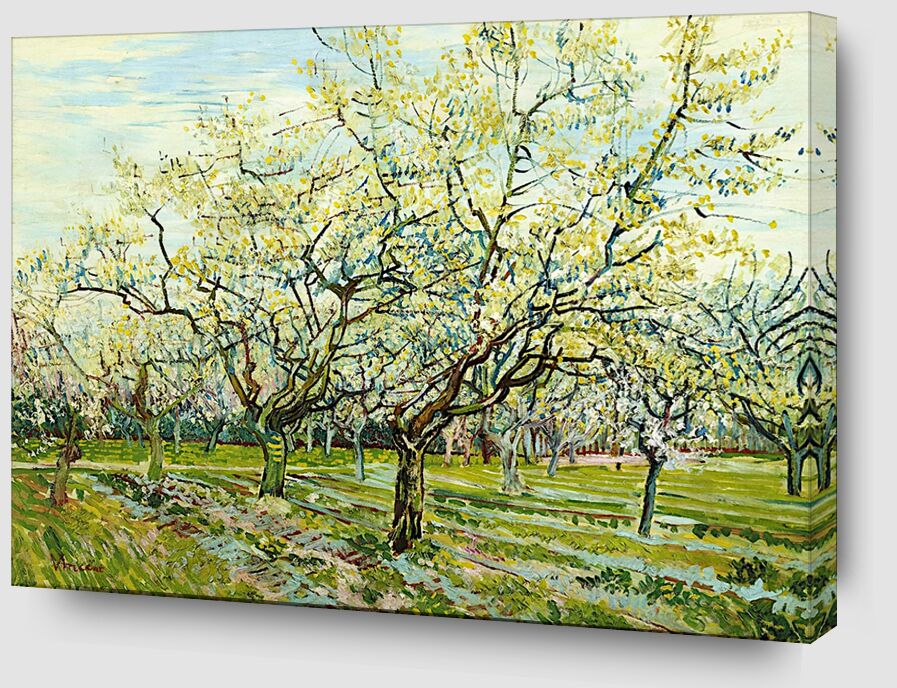 Le Verger Blanc - Van Gogh de Beaux-arts Zoom Alu Dibond Image