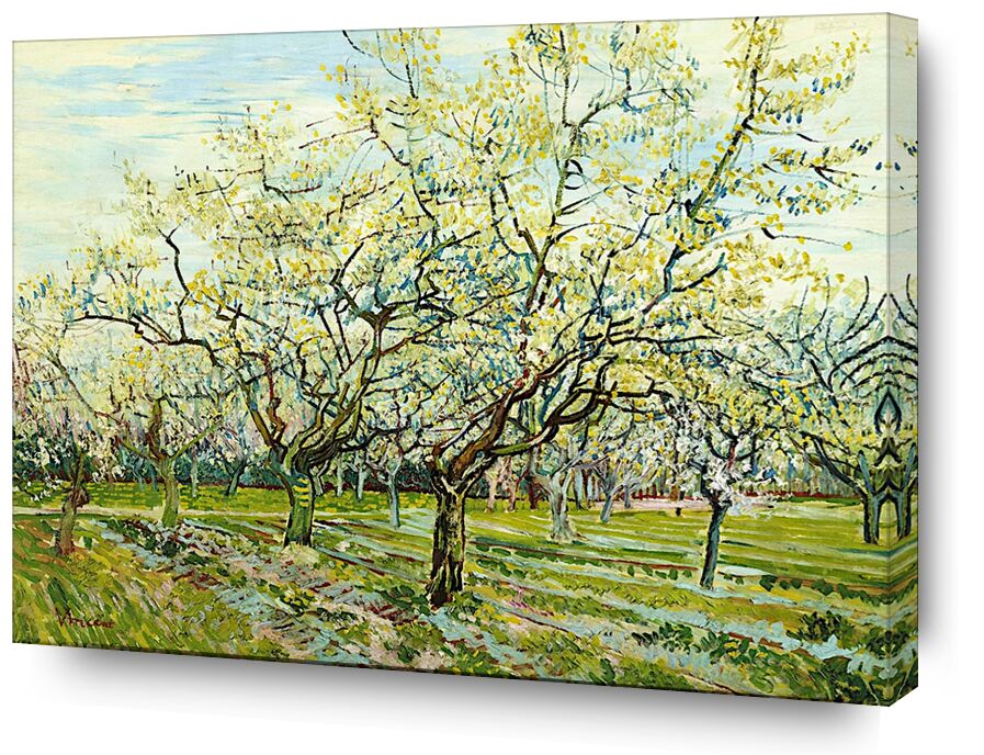 The White Orchard - Van Gogh von Bildende Kunst, Prodi Art, Van gogh, Landschaft, Landwirtschaft, Bauer, Obstgarten