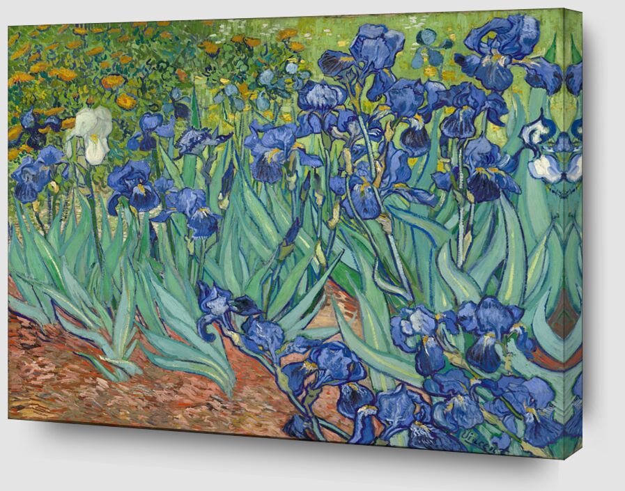 Irises - Van Gogh from AUX BEAUX-ARTS Zoom Alu Dibond Image