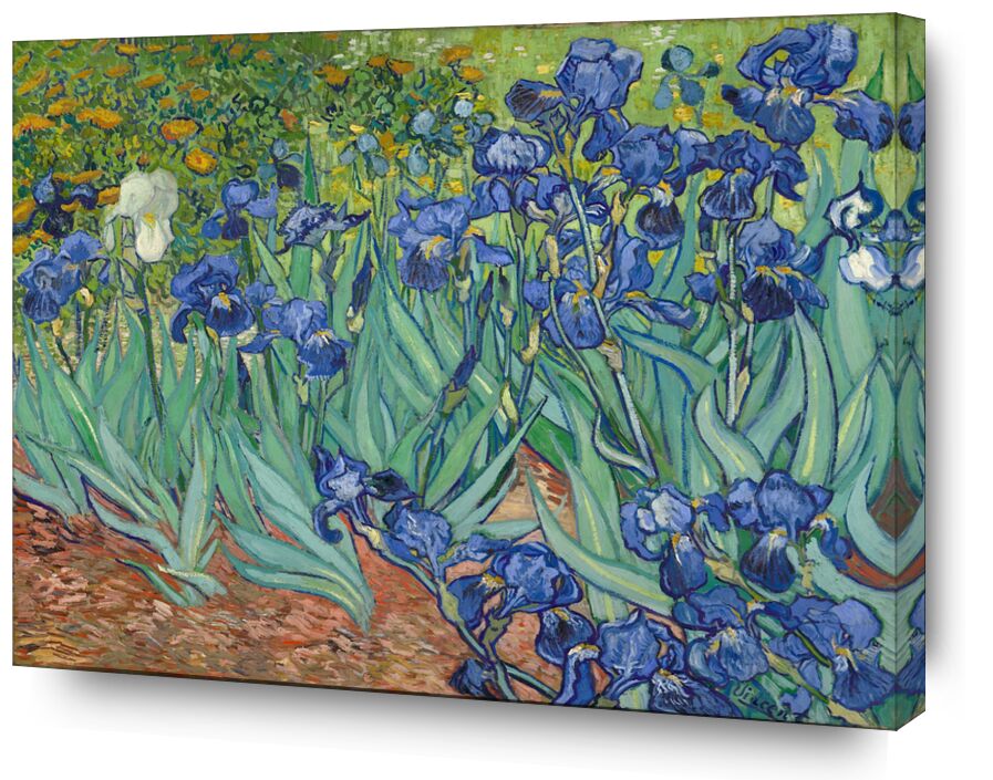 Iris - Van Gogh de Beaux-arts, Prodi Art, Van gogh, peinture, iris, jardin, fleurs