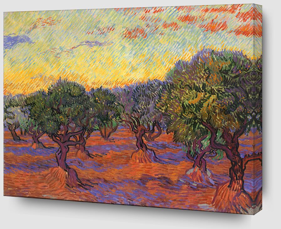 Grove of Olive Trees - Van Gogh von Bildende Kunst Zoom Alu Dibond Image