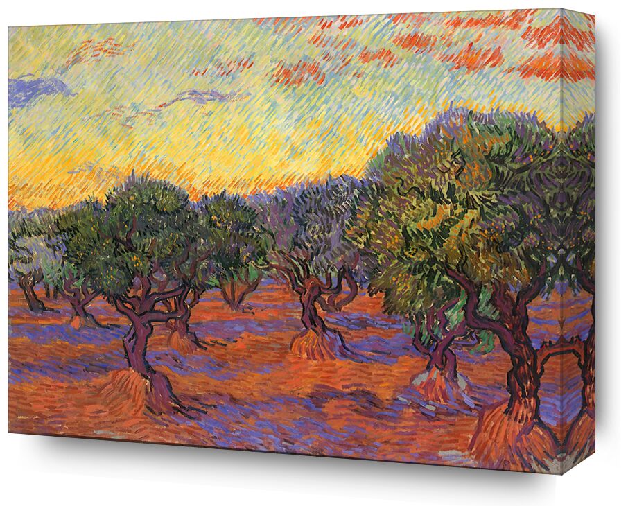 Grove of Olive Trees - Van Gogh from Fine Art, Prodi Art, Van gogh, olive grove, painting, nature, landscape