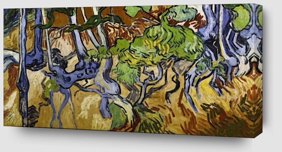 Racines et Troncs d'Arbres - Van Gogh de Beaux-arts Zoom Alu Dibond Image