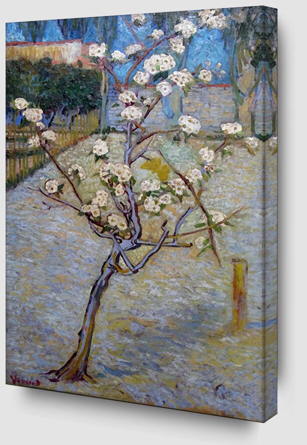 Le Poirier - Van Gogh de Beaux-arts Zoom Alu Dibond Image