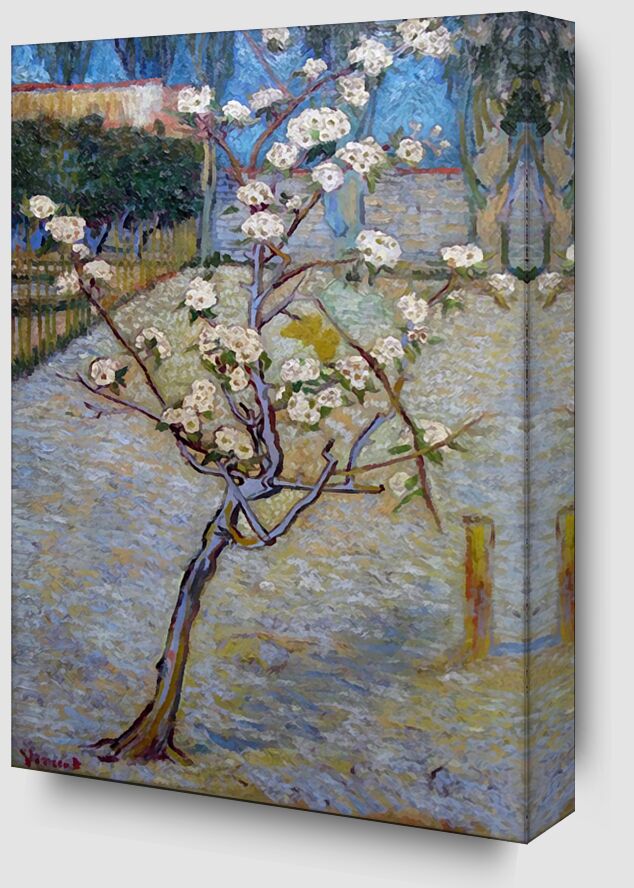 Peartree - Van Gogh from Fine Art Zoom Alu Dibond Image