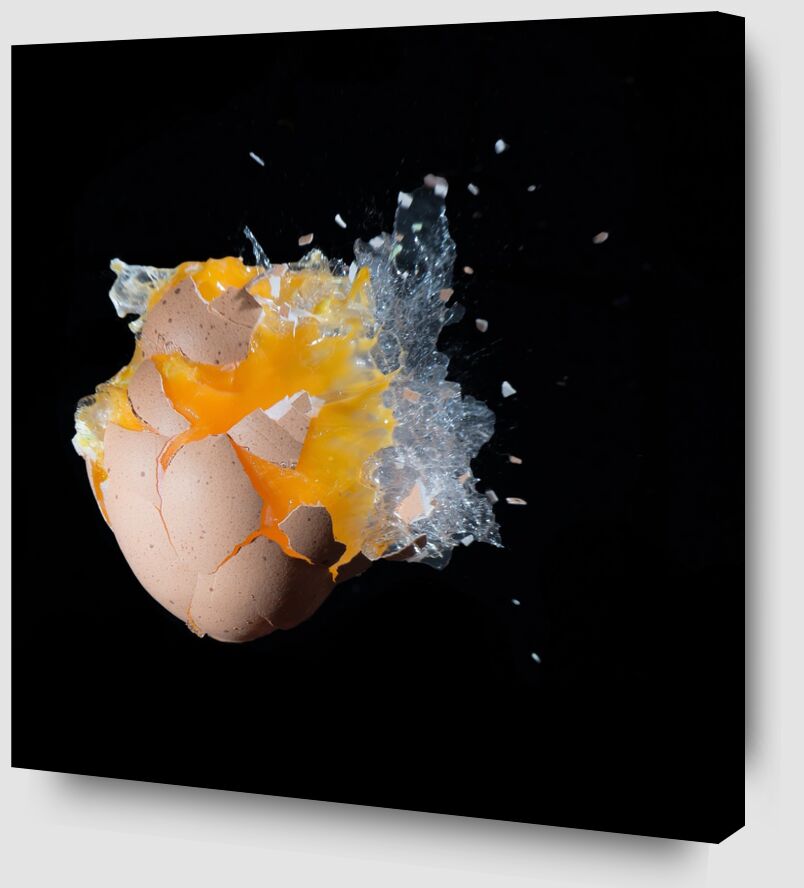 Ouverture de l’œuf de Pierre Gaultier Zoom Alu Dibond Image