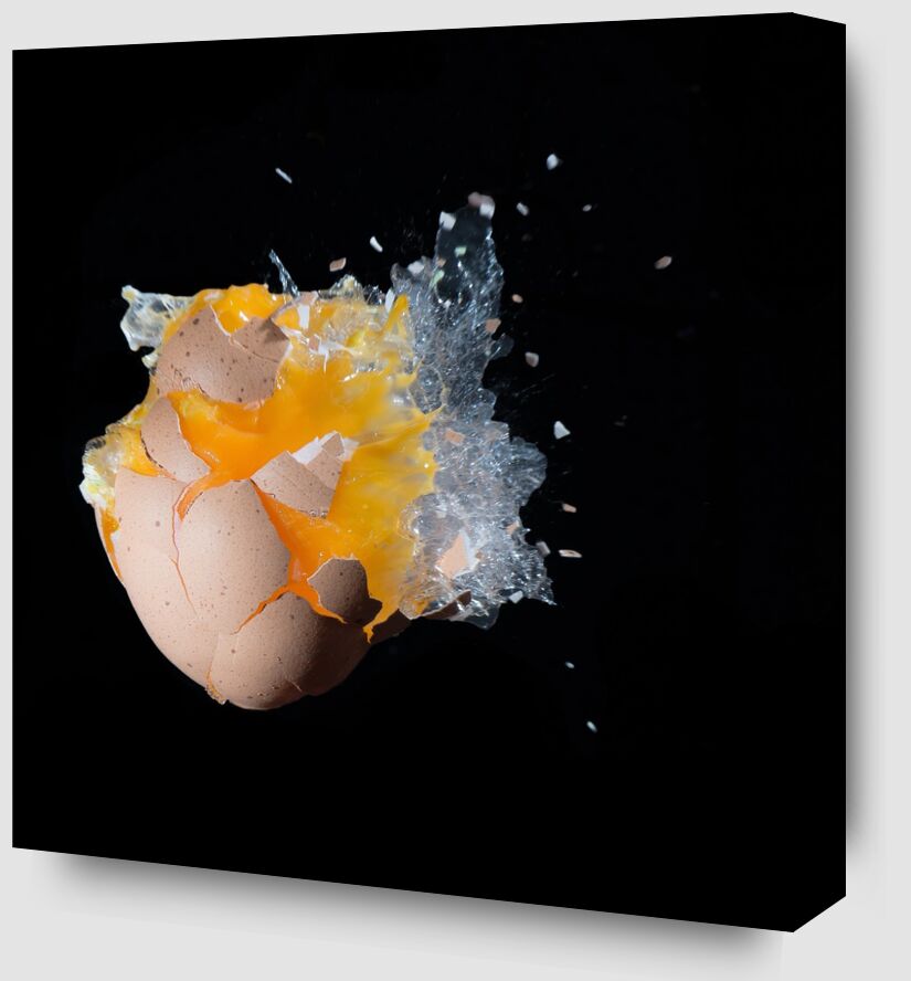 Opening the egg from Pierre Gaultier Zoom Alu Dibond Image