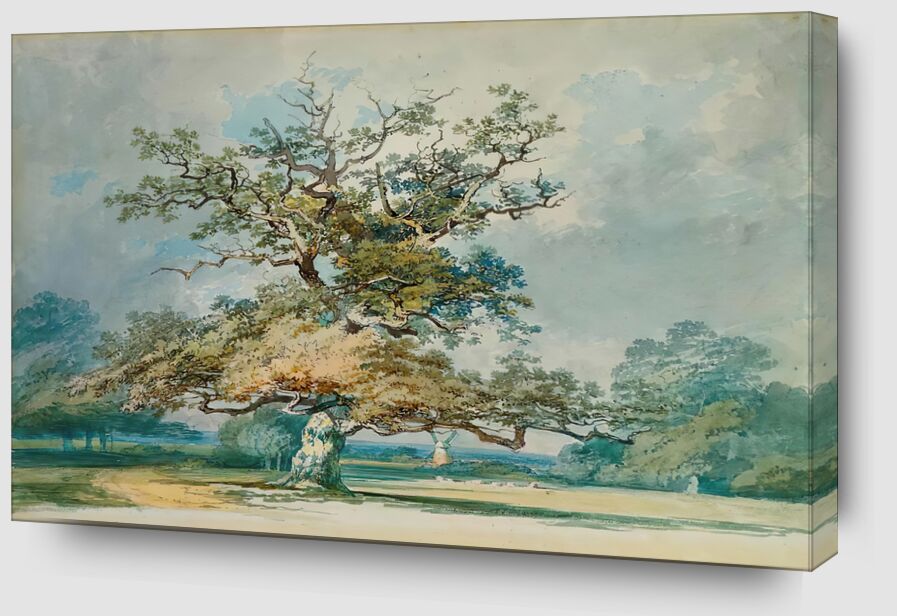 A Landscape with an Old Oak Tree - TURNER von Bildende Kunst Zoom Alu Dibond Image